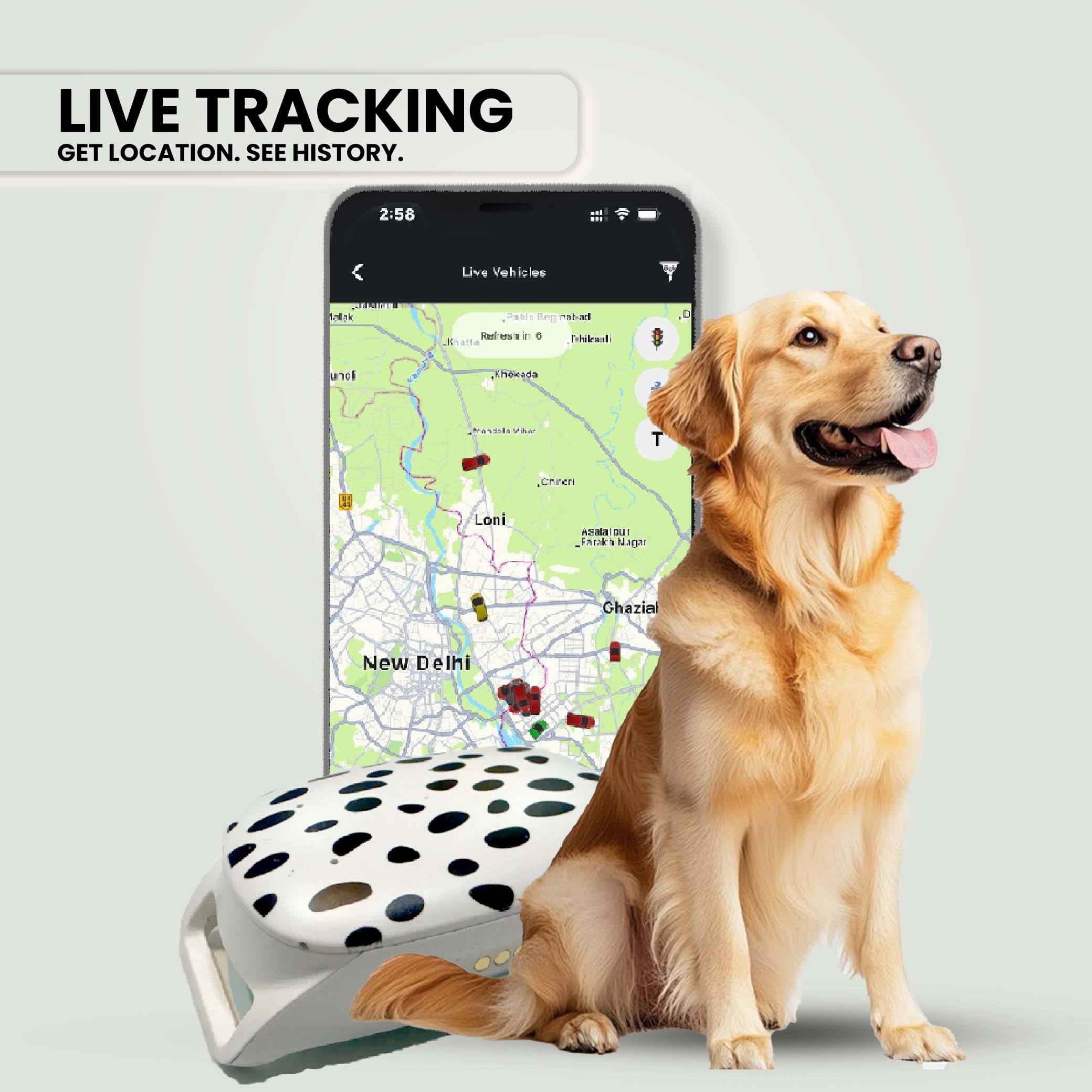 Exohive Digital™ Advanced Pet GPS Tracker – Real-Time Location & Safety for Dogs, Cats & Other Pets